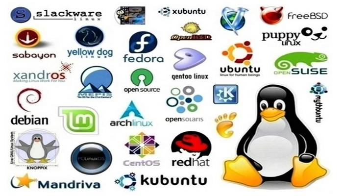 Scelta distro Linux